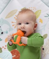 FISHER PRICE rotaļlieta - graužams grabulis, JFJ95