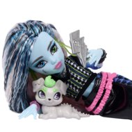 MONSTER HIGH lelle Frankie, JHK31