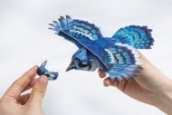 MAKEBUG 3D papīra puzle Blue Jay, MB-D-0056