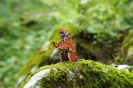 MAKEBUG 3D papīra puzle Siberian tiger, MB-D-0020