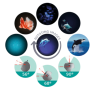 KIDYWOLF projektors Galaxy, piparmētru krāsā, KIDYSTAR-GR