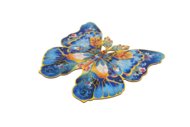ROWOOD Koka puzle Morpho Helena, TA003