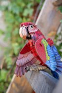 MAKEBUG 3D papīra puzle Macaw, MB-B-0012