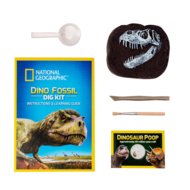 NATIONAL GEOGRAPHIC komplekts Dino Fossil Dig, RTNGDINO2