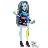 MONSTER HIGH lelle Frankie, JHK31