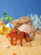 MAKEBUG 3D papīra puzle Hermit Crab, MB-B-0008