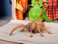MAKEBUG 3D papīra puzle Weevil, MB-B-0004