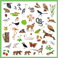 DJECO uzlīmju komplekts Fauna (160 gab.), DJ09285