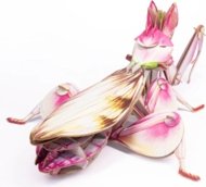 MAKEBUG 3D papīra puzle Orchid Mantis, MB-B-0003