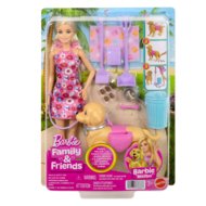 BARBIE Walk & Potty lelles komplekts, JJB46