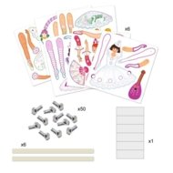 DJECO Kustīgas papīra lelles Balerīnas, DJ09649