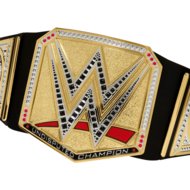 WWE Undisputed Universal čempiona josta, HYJ35