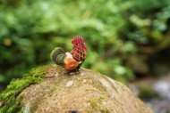 MAKEBUG 3D papīra puzle rooster, MB-D-0015