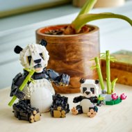 31165 LEGO® Creator Savvaļas dzīvnieki: Pandu ģimene