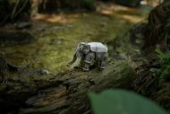 MAKEBUG 3D papīra puzle Asian elephant, MB-D-0018