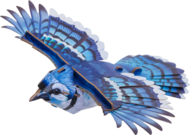MAKEBUG 3D papīra puzle Blue Jay, MB-D-0056