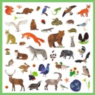 DJECO uzlīmju komplekts Fauna (160 gab.), DJ09285