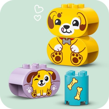 10441 LEGO® DUPLO® Creative Play Formu šķirotājs: Kucēna māja 
