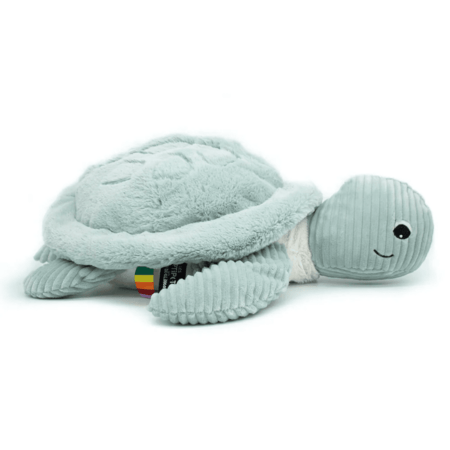 PTIPOTOS bruņurupuču mamma un mazulis, mint, 73602 