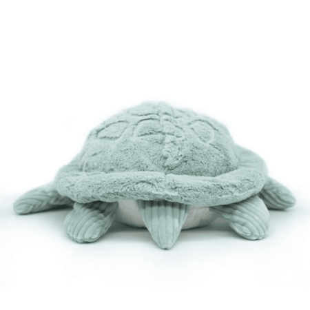 PTIPOTOS bruņurupuču mamma un mazulis, mint, 73602 