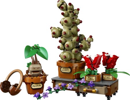 76474 LEGO® Harry Potter™ Cūkkārpas herboloģijas augi 