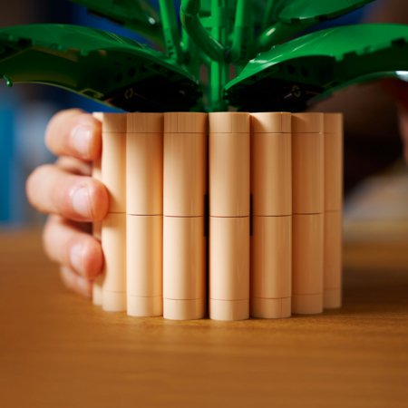 11504 LEGO® Botanicals Vēzdūne 