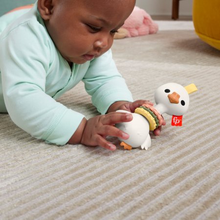 FISHER PRICE Sensimals grabulis, HRB19 