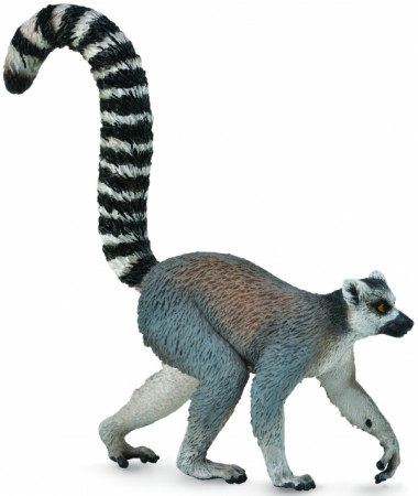 COLLECTA Ring tailed lemūrs (M), 88831 88831