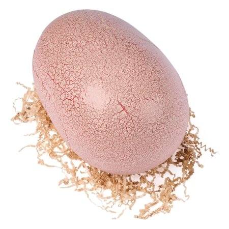 PRIMAL HATCH interaktīvā rotaļlieta Jurassic World, 6076597 
