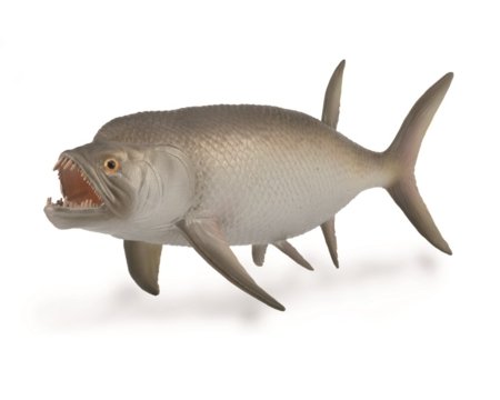COLLECTA figūriņa ksifaktīns, 88928 