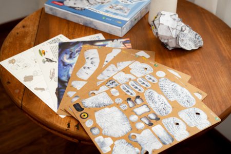 MAKEBUG 3D papīra puzle Snowy Owl, MB-B-0009 