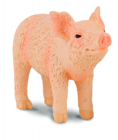 COLLECTA (S) Sivēns - osta 88344 