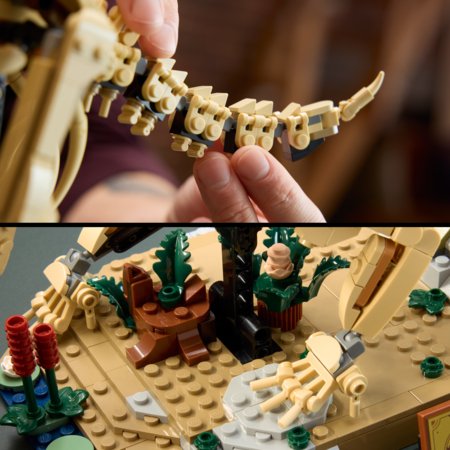77985 LEGO® Jurassic World Dinozauru fosilijas: triceratops 