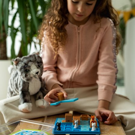SMART GAMES spēle Cats & Boxes, SMA#450 SMA#450