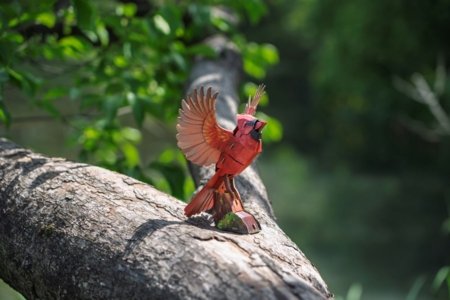 MAKEBUG 3D papīra puzle American Cardinal, MB-D-0055 