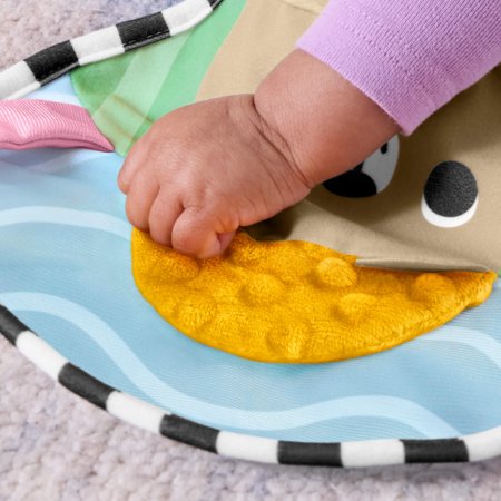 FISHER-PRICE rotaļu spilvens vēdera laikam, JHB44 