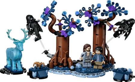 76475 LEGO® Harry Potter™ Aizliegtais mežs: Sauces aizstāvum 