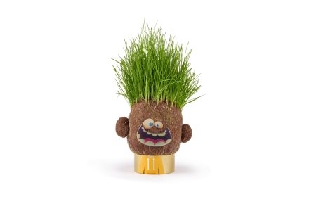 HAPE grasshead Monster Plant Pals, 847769 