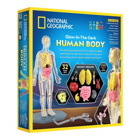 NATIONAL GEOGRAPHIC komplekts Glow in the Dark Human Body, RTHUMBODY