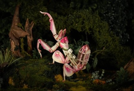 MAKEBUG 3D papīra puzle Orchid Mantis, MB-B-0003 