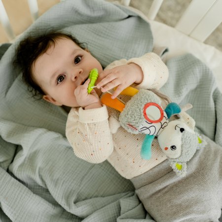BABYFEHN Mini muzikālā lapsa, 049015 049015