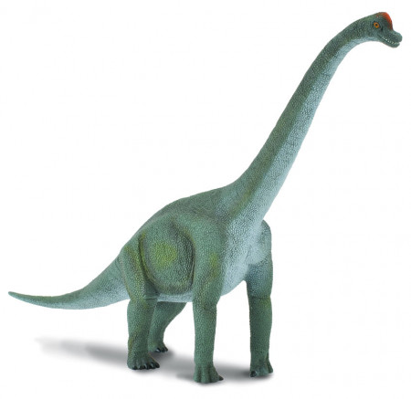 COLLECTA (L) Dinozaurs - Brachiosaurus 8 