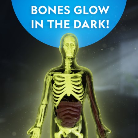 NATIONAL GEOGRAPHIC komplekts Glow in the Dark Human Body, RTHUMBODY