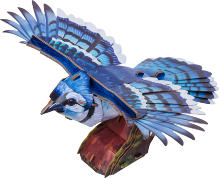 MAKEBUG 3D papīra puzle Blue Jay, MB-D-0056 