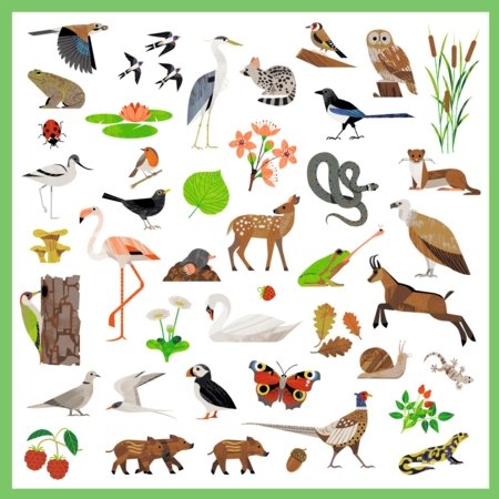 DJECO uzlīmju komplekts Fauna (160 gab.), DJ09285 