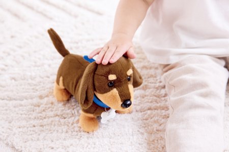 HAPE mājdzīvnieku veterinārās aprūpes komplekts, E3229A 