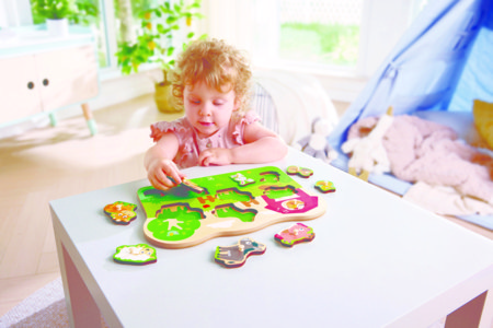 HAPE puzle Saimniecības teritorija, E1458K 