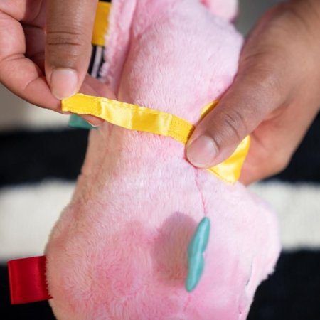 BABY EINSTEIN nomierinoša plīša rotaļlieta Seahorse Soother, rozā, 17400-013 