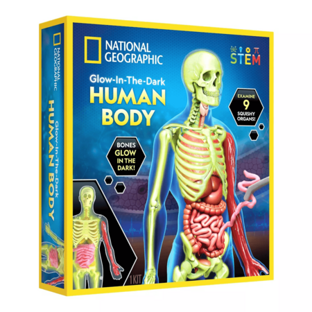 NATIONAL GEOGRAPHIC komplekts Glow in the Dark Human Body, RTHUMBODY