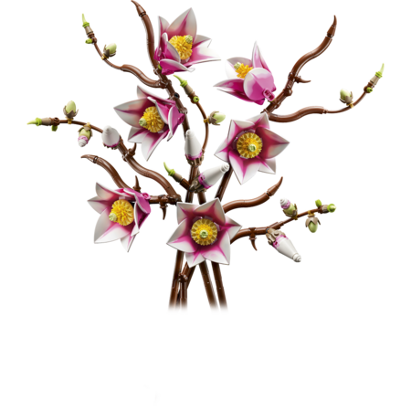 11510 LEGO® Botanicals Magnolijas zariņi 